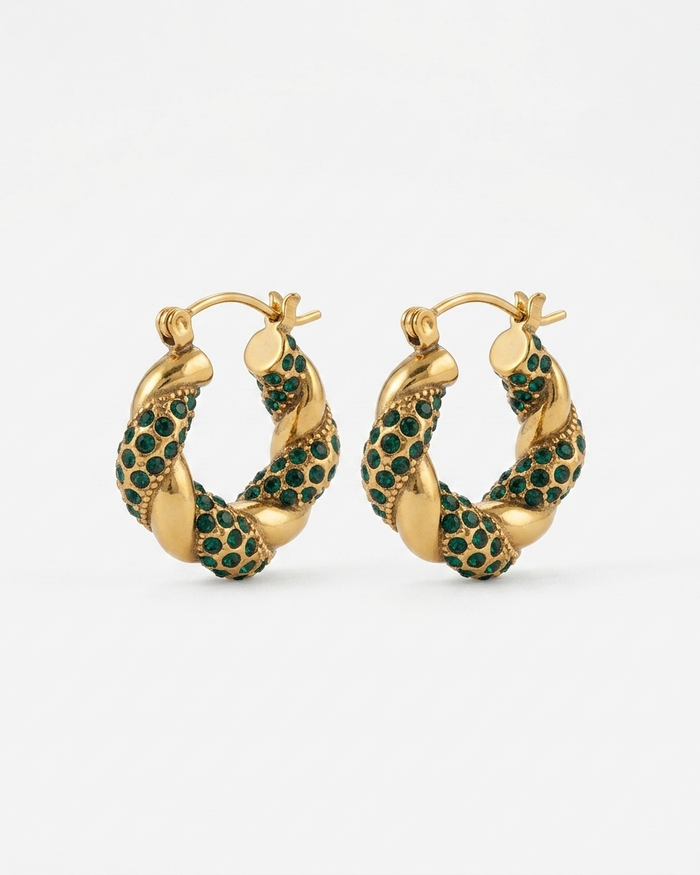 Earrings